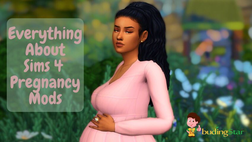 Realistic life and pregnancy mod